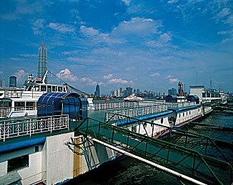 《只狼：影逝二度》迎来发售5周年